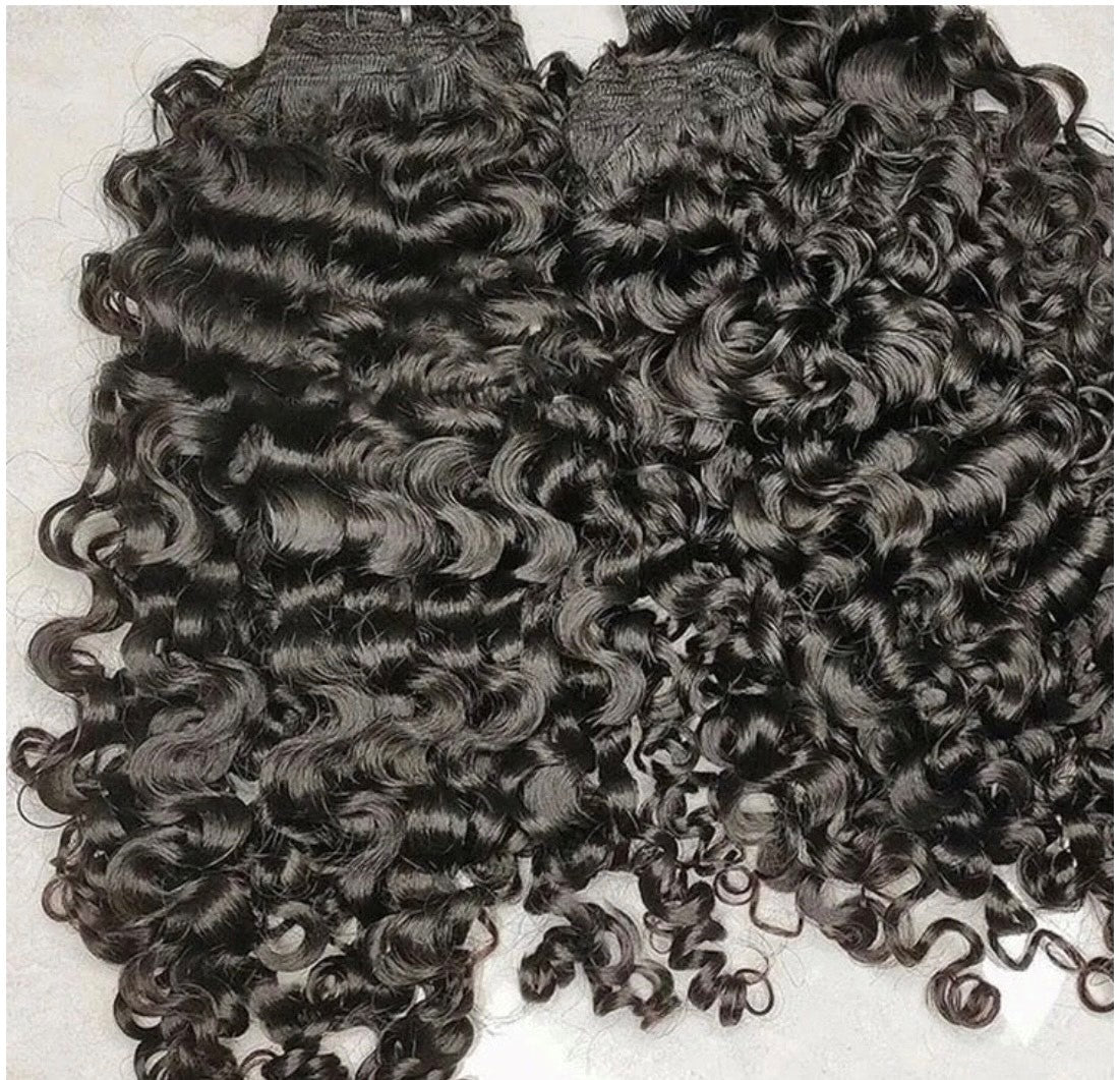 Burmese Curly